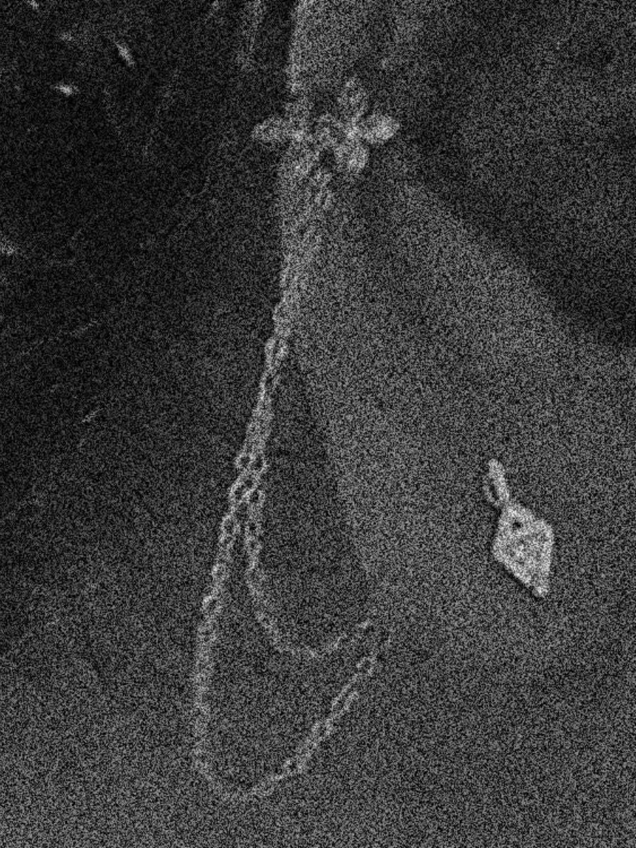 JAD x FIBULA